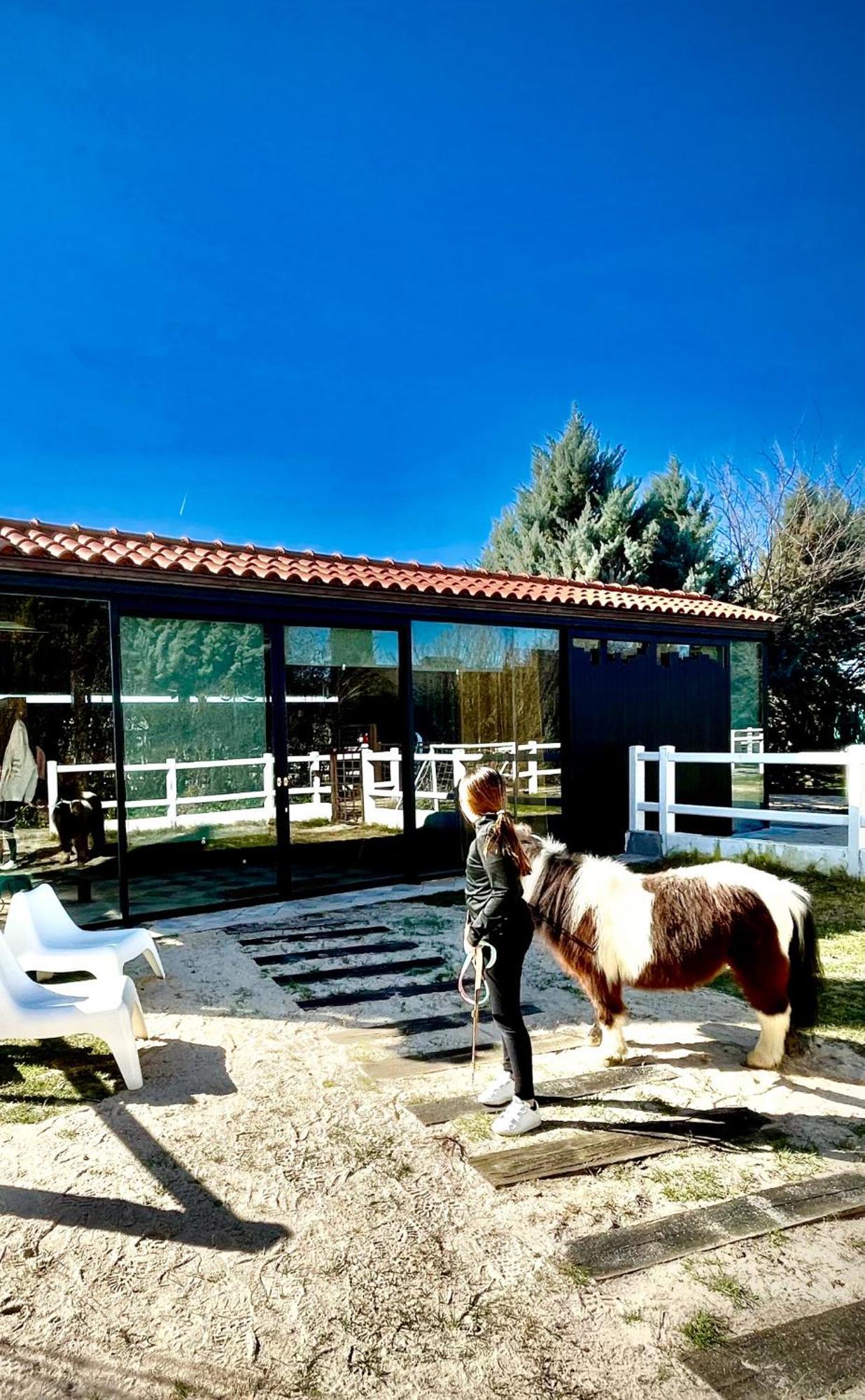 Hearts & Ponies Apartamentos Con Piscinas Privadas Cerca De La Warner Chinchon Exterior photo